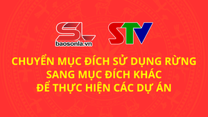 Chuyển mục đích sử dụng rừng sang mục đích khác để thực hiện các dự án