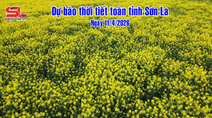 Dự báo thời tiết toàn tỉnh Sơn La ngày 11/4/2026