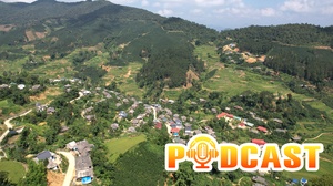 Bản tin Podcast ngày 1/5/2026