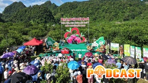 Bản tin Podcast ngày 24/5/2026