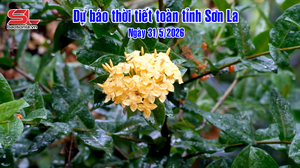 Dự báo thời tiết toàn tỉnh Sơn La ngày 31/5/2026