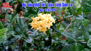 Dự báo thời tiết toàn tỉnh Sơn La ngày 13/6/2026
