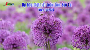Dự báo thời tiết toàn tỉnh Sơn La ngày 1/8/2026