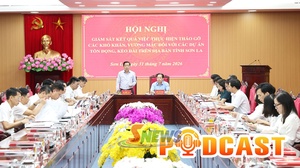 Bản tin Podcast ngày 31/7/2026