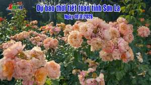 Dự báo thời tiết toàn tỉnh Sơn La ngày 10/8/2026
