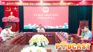 Bản tin Podcast ngày 14/8/2026