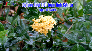 Dự báo thời tiết toàn tỉnh Sơn La ngày 15/8/2026
