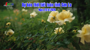 Dự báo thời tiết toàn tỉnh Sơn La ngày 23/8/2026