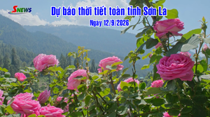 Dự báo thời tiết toàn tỉnh Sơn La ngày 12/9/2026
