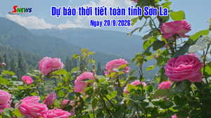 Dự báo thời tiết toàn tỉnh Sơn La ngày 20/9/2026