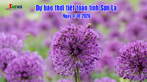 Dự báo thời tiết toàn tỉnh Sơn La ngày 4/10/2026