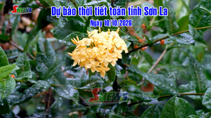 Dự báo thời tiết toàn tỉnh Sơn La ngày 10/10/2026