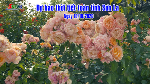 Dự báo thời tiết toàn tỉnh Sơn La ngày 18/10/2026