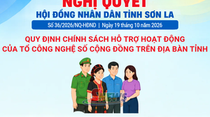 Chính sách hỗ trợ hoạt động Tổ công nghệ số cộng đồng trên địa bàn tỉnh Sơn La