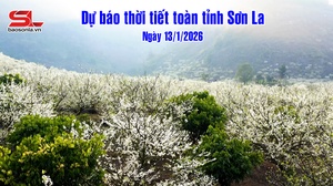 Dự báo thời tiết toàn tỉnh Sơn La ngày 13/1/2026