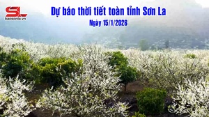 Dự báo thời tiết toàn tỉnh Sơn La ngày 15/1/2026