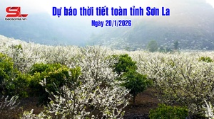 Dự báo thời tiết toàn tỉnh Sơn La ngày 20/1/2026