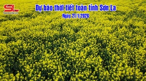 Dự báo thời tiết toàn tỉnh Sơn La ngày 21/1/2026