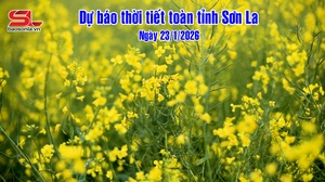 Dự báo thời tiết toàn tỉnh Sơn La ngày 23/1/2026