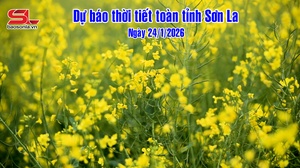 Dự báo thời tiết toàn tỉnh Sơn La ngày 24/1/2026