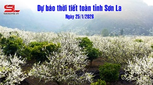 Dự báo thời tiết toàn tỉnh Sơn La ngày 25/01/2026