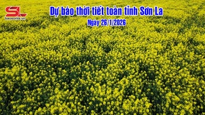 Dự báo thời tiết toàn tỉnh Sơn La ngày 26/01/2026