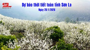 Dự báo thời tiết toàn tỉnh Sơn La ngày 28/01/2026