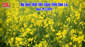 Dự báo thời tiết toàn tỉnh Sơn La ngày 29/01/2026