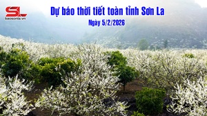 Dự báo thời tiết toàn tỉnh Sơn La ngày 5/2/2026
