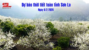 Dự báo thời tiết toàn tỉnh Sơn La ngày 6/2/2026