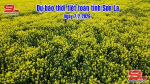 Dự báo thời tiết toàn tỉnh Sơn La ngày 7/2/2026