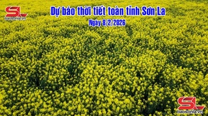 Dự báo thời tiết toàn tỉnh Sơn La ngày 8/2/2026