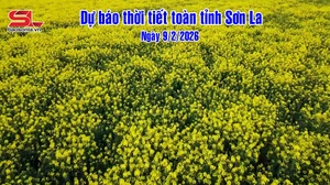 Dự báo thời tiết toàn tỉnh Sơn La ngày 9/2/2026