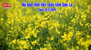 Dự báo thời tiết toàn tỉnh Sơn La ngày 10/2/2026