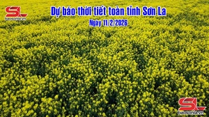 Dự báo thời tiết toàn tỉnh Sơn La ngày 11/2/2026