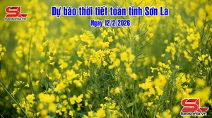 Dự báo thời tiết toàn tỉnh Sơn La ngày 12/2/2026