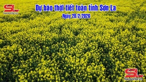 Dự báo thời tiết toàn tỉnh Sơn La ngày 20/2/2026