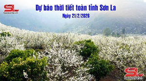  Dự báo thời tiết toàn tỉnh Sơn La ngày 21/2/2026