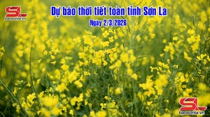 Dự báo thời tiết toàn tỉnh Sơn La ngày 2/3/2026