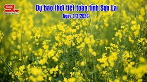Dự báo thời tiết toàn tỉnh Sơn La ngày 3/3/2026