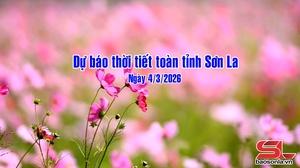 Dự báo thời tiết toàn tỉnh Sơn La ngày 4/3/2026