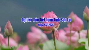 Dự báo thời tiết toàn tỉnh Sơn La ngày 4/3/2026