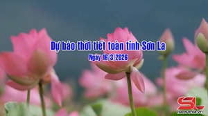 Dự báo thời tiết toàn tỉnh Sơn La ngày 16/3/2026