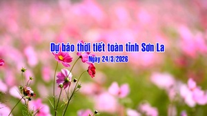 Dự báo thời tiết toàn tỉnh Sơn La ngày 24/03/2026
