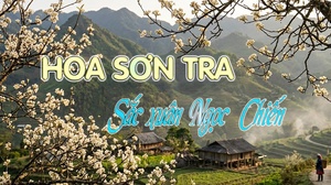 Hoa sơn tra - Sắc xuân Ngọc Chiến