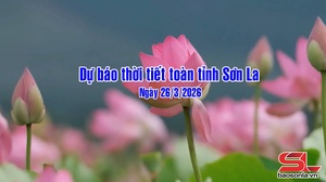 Dự báo thời tiết toàn tỉnh Sơn La ngày 26/03/2026