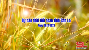 Dự báo thời tiết toàn tỉnh Sơn La ngày 30/3/2026