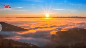 Chào ngày mới 9/4/2026