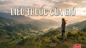 Truyện Podcast: Liều thuốc của gió