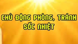 Chủ động phòng, tránh sốc nhiệt